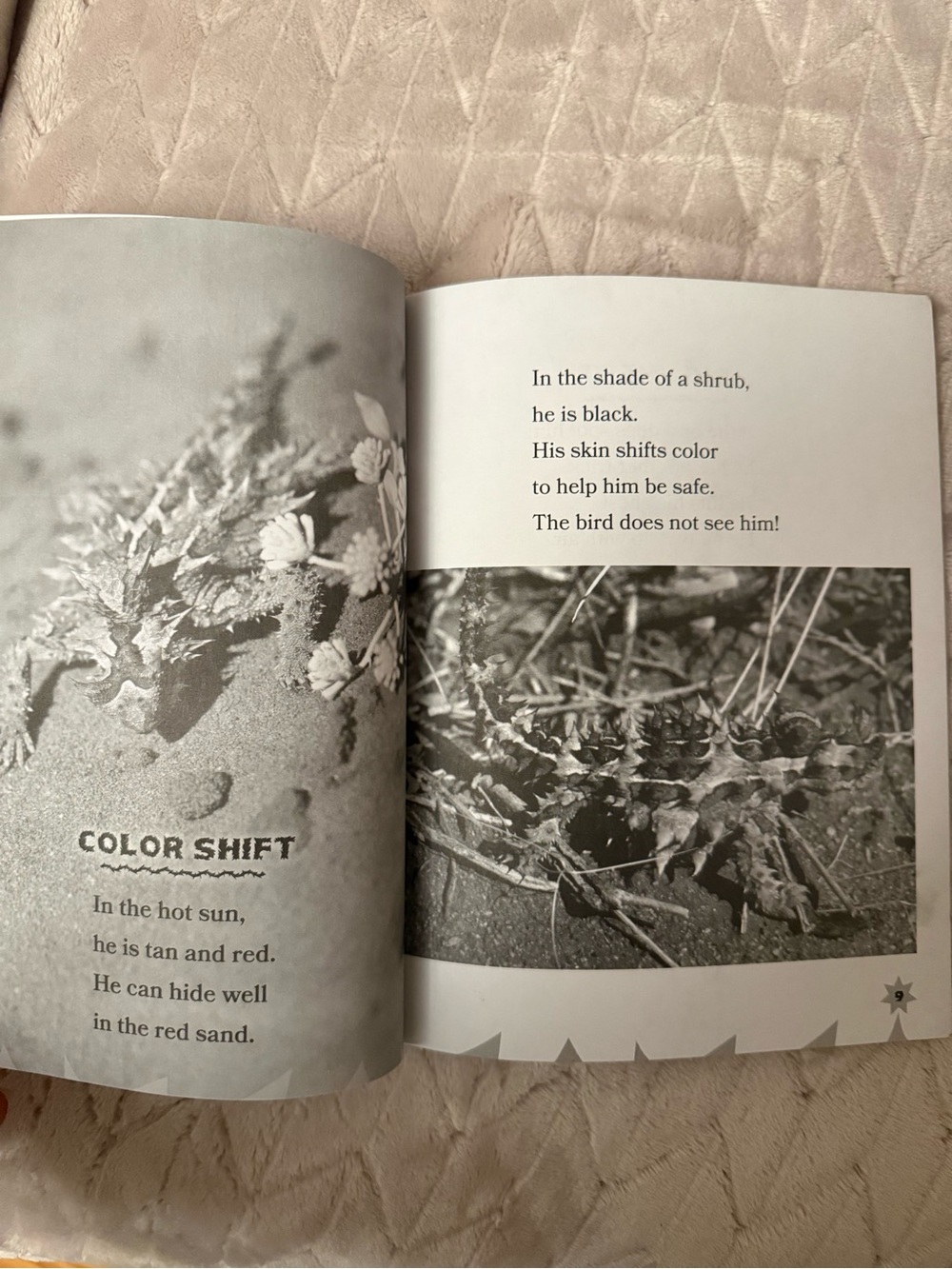 Children’s Geodes Module 2 Learning Book - Picture 4 of 6
